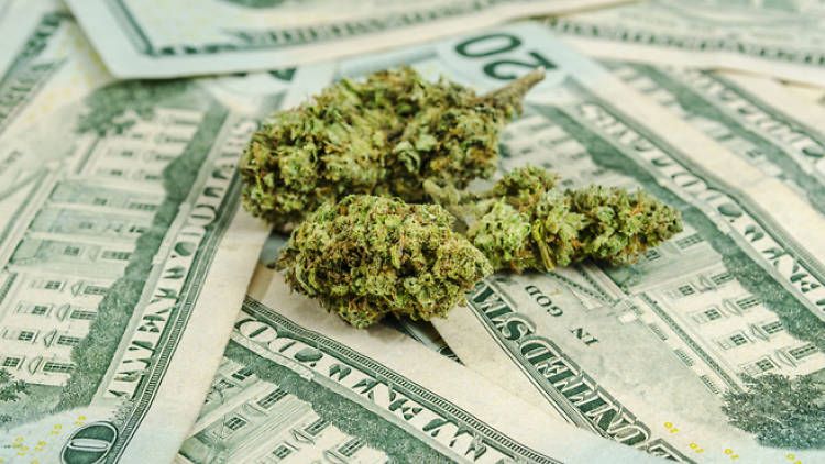How Much Cannabis Do New Yorkers Smoke, and What Is the Cost in NYC?